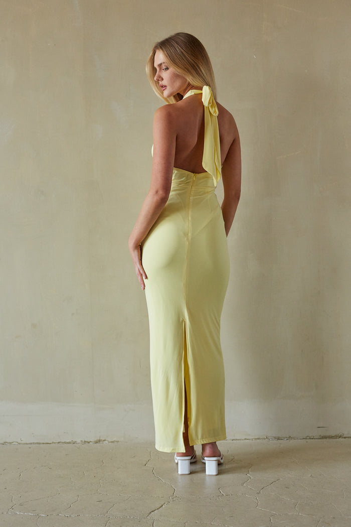 back-image