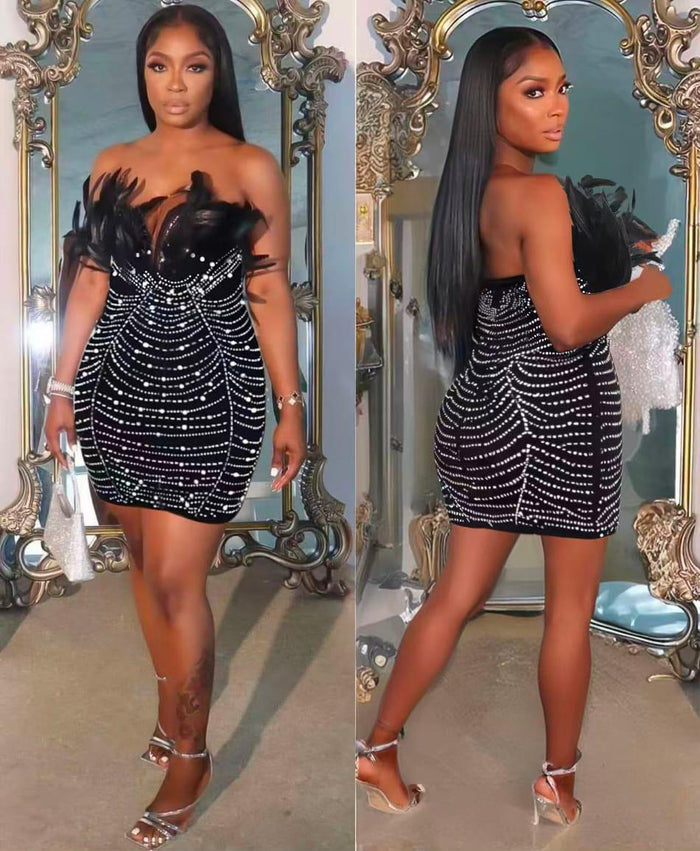 Feather and Sequin Bodycon Mini Dress