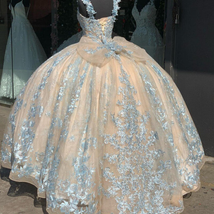 Gorgeous Lace Princess Ball Quinceanera Dress - Envious Designs
