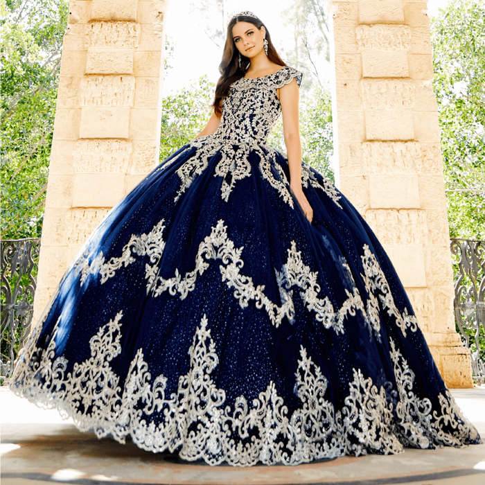 Gorgeous Navy Blue Princess Ball  Quinceanera Dress - Envious Designs