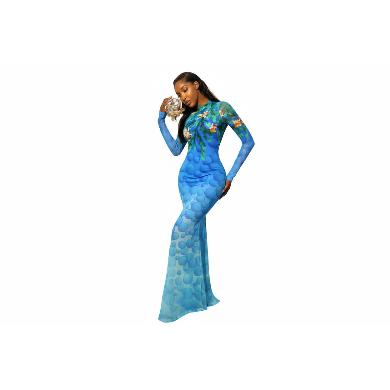Mermaid Mesh Style Bodycon Maxi Dress