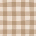 Mini Gingham Check Brown - Family Fabrics B.V.