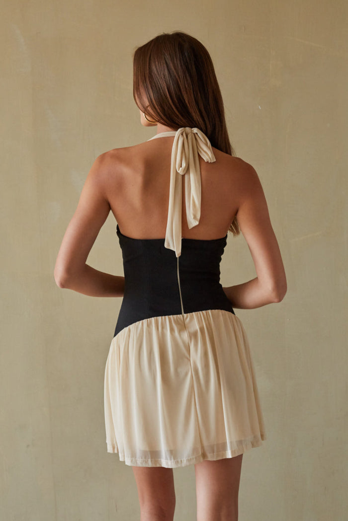 back-image