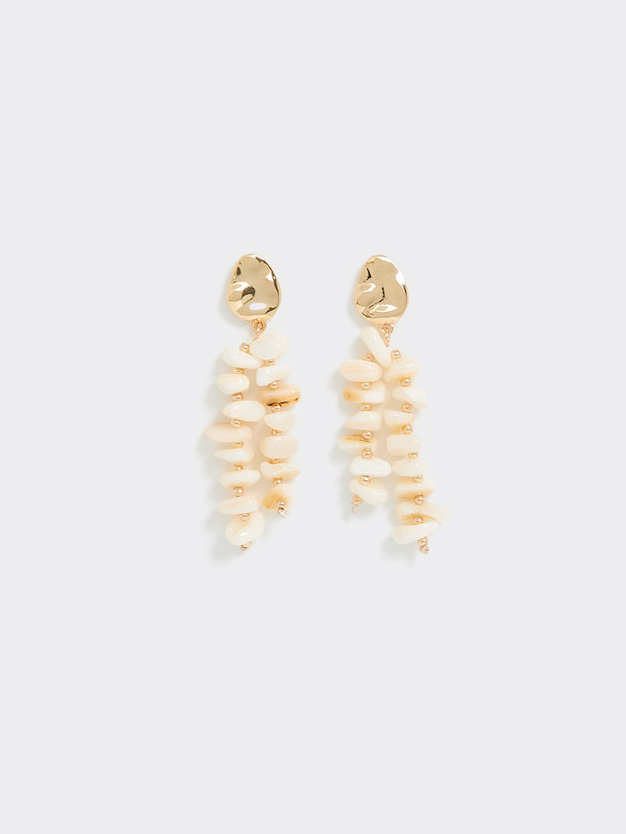 Seashell Earrings