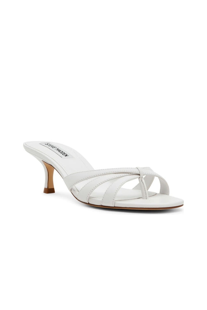 white-image | front-image