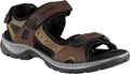 Yucatan - Bison - Women's